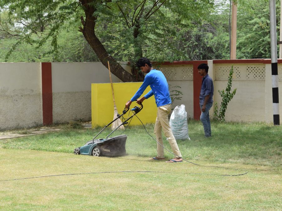Lawn being mowed as part of garden maintenance